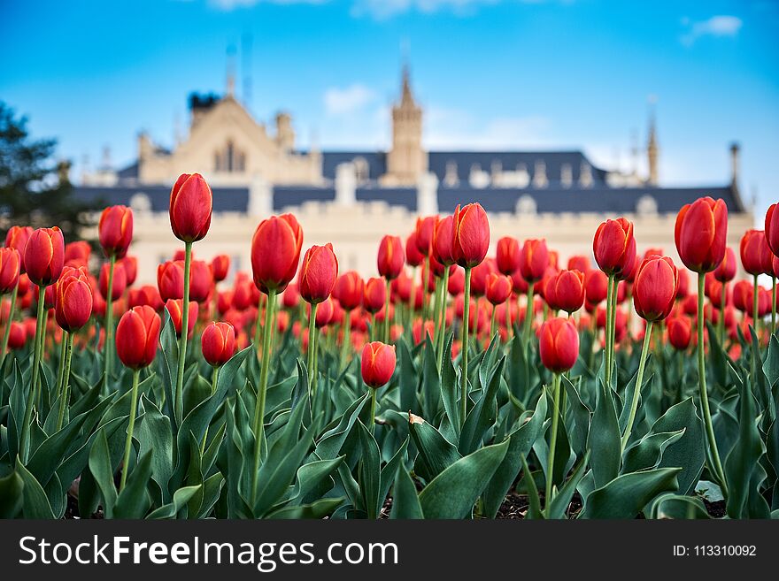 Beautiful view of lednice castle with storm clouds and blooming red tulips lednice palace is one. South Moravia.Czech Republic