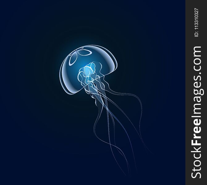 Beautiful jellyfish floating slowly in the blue depths of the ocean vector illustration. Beautiful jellyfish floating slowly in the blue depths of the ocean vector illustration