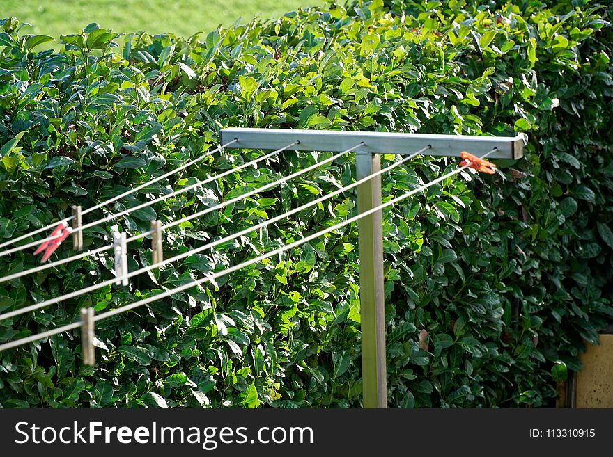 Clothesline with clothespins in garden in sunny day, fresh clean background.