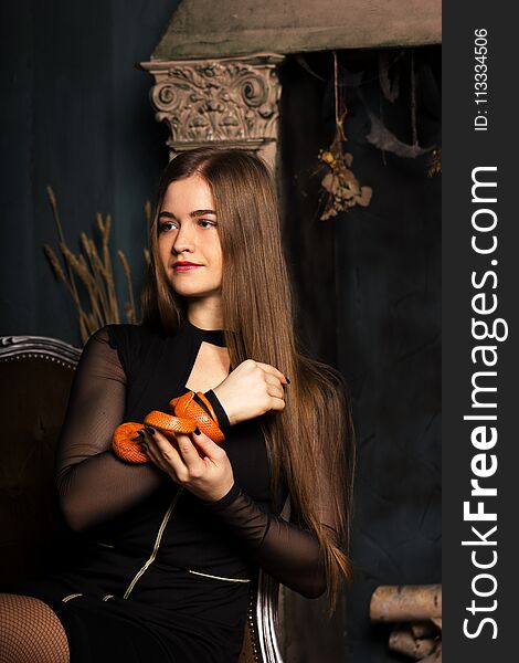 Beautiful young woman in black dress sits on a chair with orange corn snake and looks forward. Beautiful young woman in black dress sits on a chair with orange corn snake and looks forward