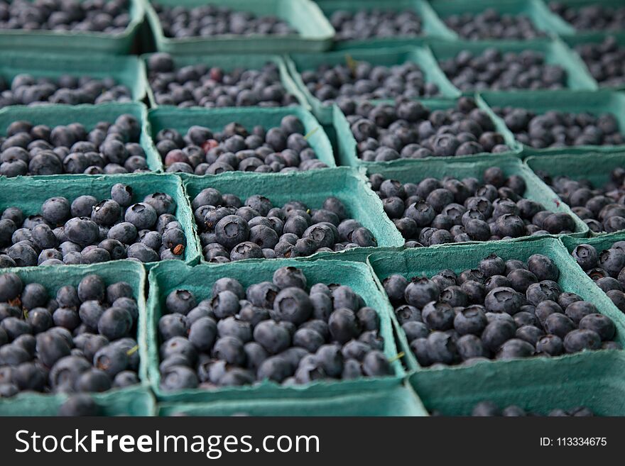 Fresh blueberry organic food container