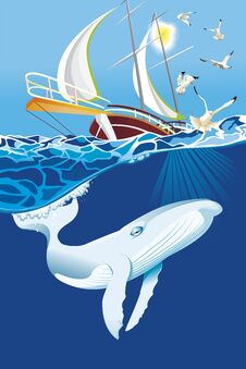Whale And Seagull Around A Boat Stock Image
