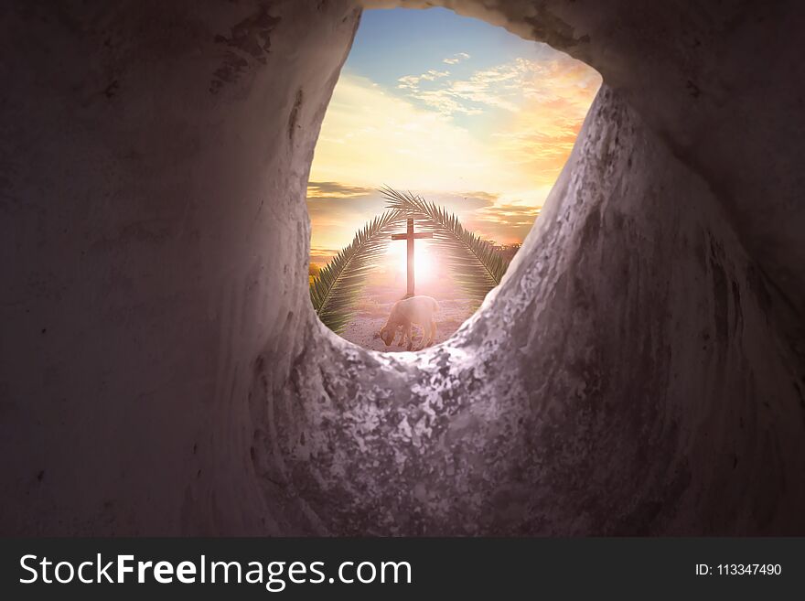 Concept of Jesus entering Jerusalem: Palm leaves on a blue background sky. Concept of Jesus entering Jerusalem: Palm leaves on a blue background sky