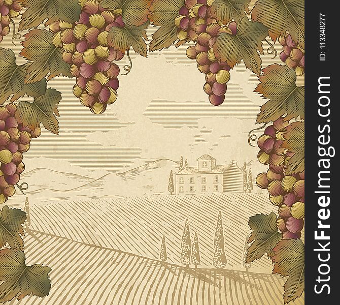 Engraving grape and leaves, vintage winery scene for design uses