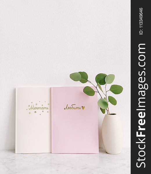 Green Leaf Plant Beside Two Pink And White Notebooks