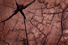 Wooden Wall Background, Texture Of Bark Wood With Old Natural Pattern. Stock Photography
