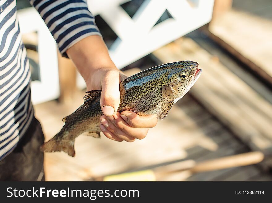 A fisherman`s hands holding trout.