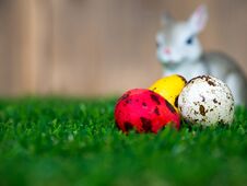 Select Focus Of The Colorful Easter Eggs. Placed On Green Grass. Have A Cute Rabbit In The Back. The Back Is A Brown Wood Frame. T Royalty Free Stock Photo