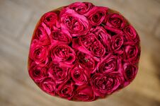 Beautiful Bouquet Of A Crimson Peony Roses Royalty Free Stock Photography Beautiful Bouquet Of A Crimson Peony Roses Royalty Free Stock Photography