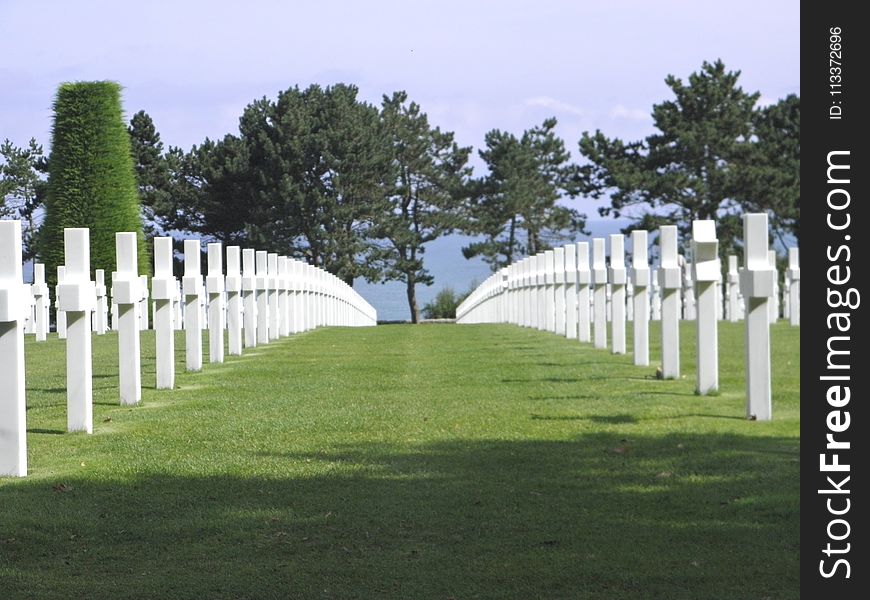 Cemetery, Grass, Tree, Memorial