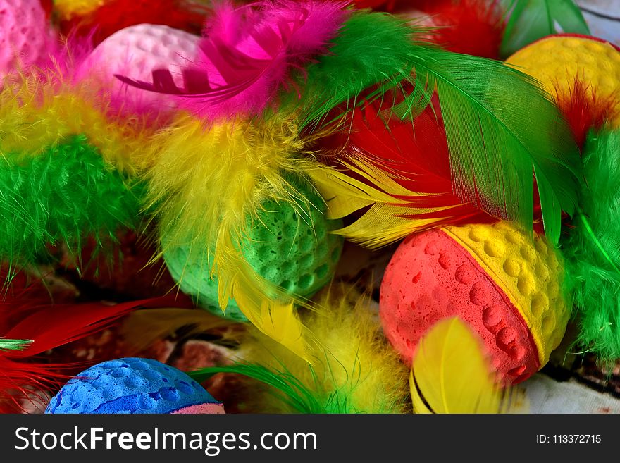 Yellow, Feather, Carnival, Material