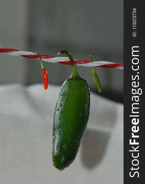 Chili Pepper, Bell Peppers And Chili Peppers, Plant, Serrano Pepper