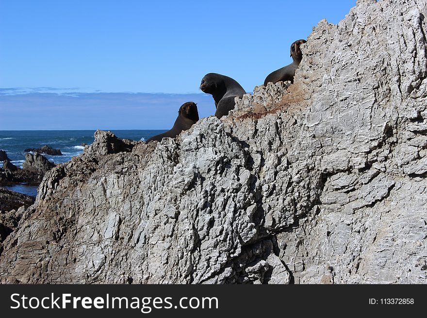 Rock, Promontory, Coast, Cliff