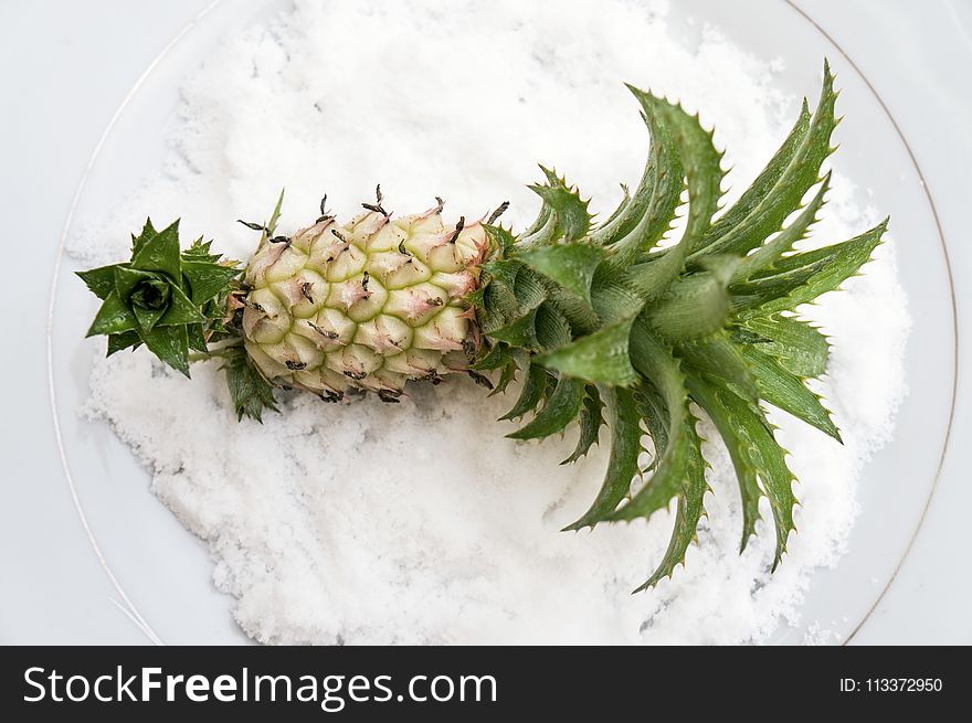 Ananas, Pineapple, Fruit, Plant