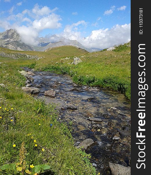 Vegetation, Wilderness, Nature Reserve, Mountain