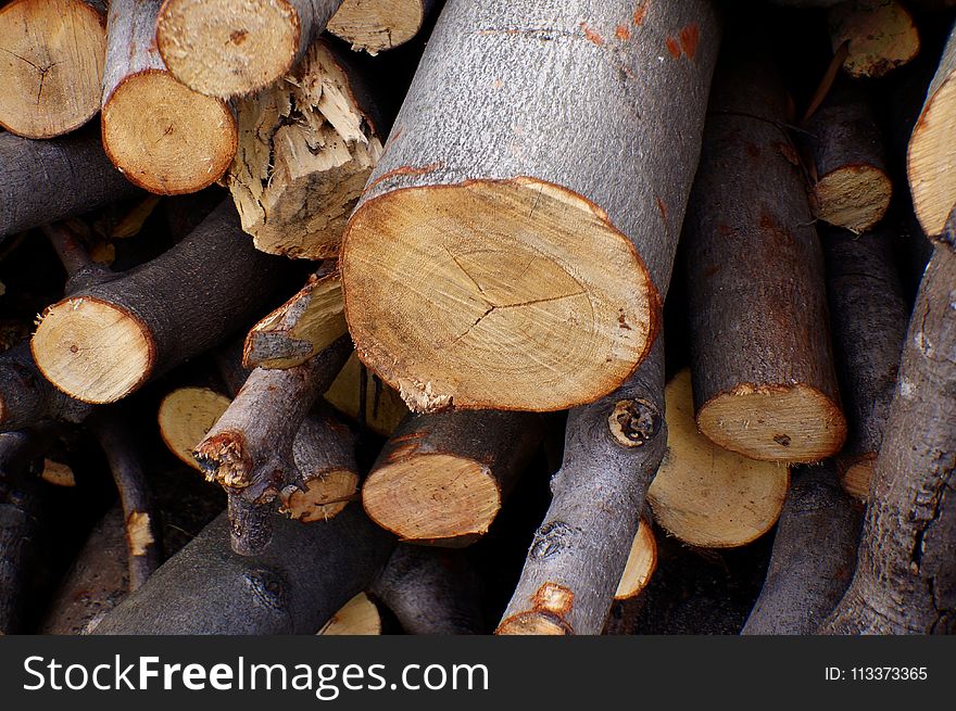Wood, Tree, Lumber
