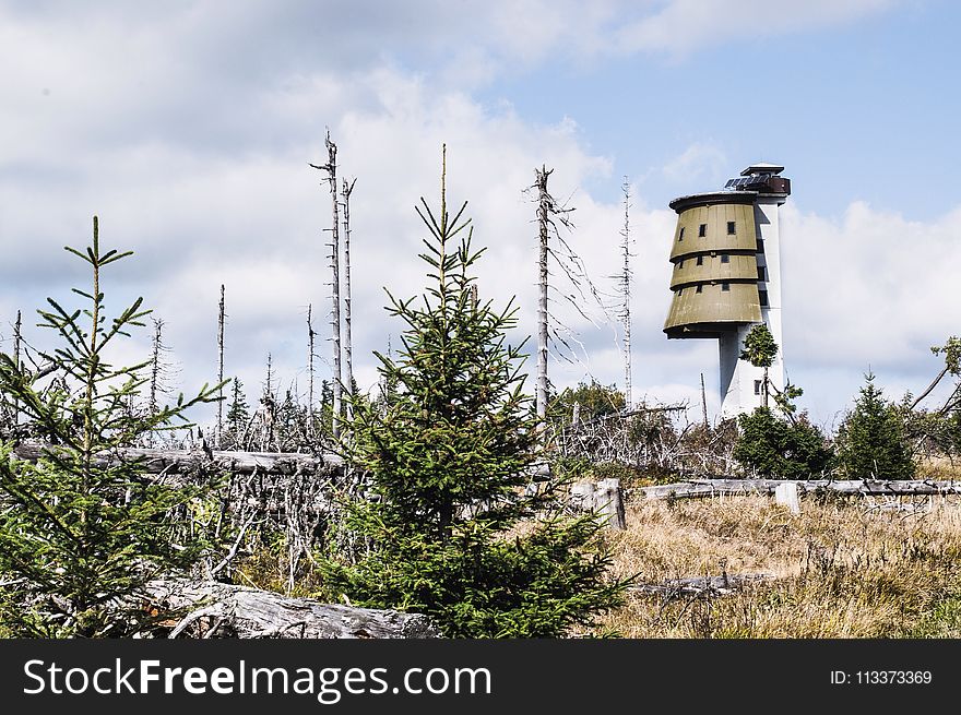 Sky, Tree, Tower, Outdoor Structure