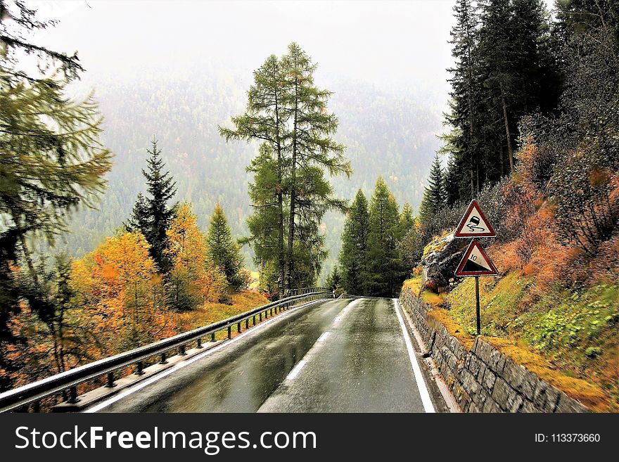 Road, Nature, Path, Infrastructure