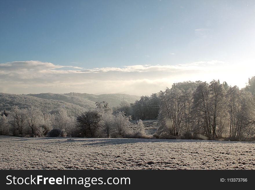 Winter, Sky, Snow, Tree