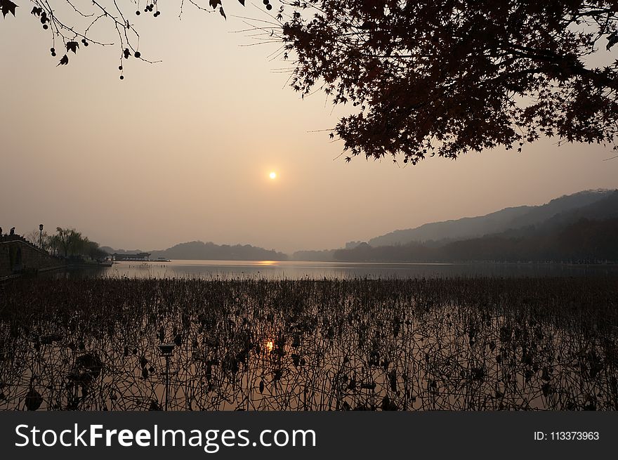 Sky, Sunrise, Tree, Morning