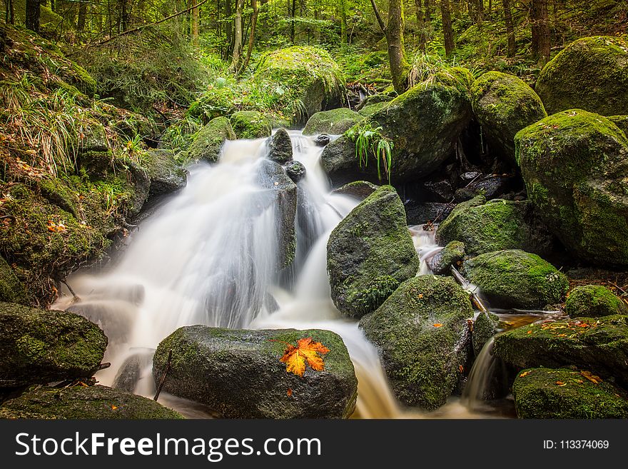 Water, Nature, Waterfall, Stream