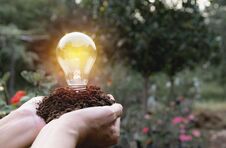 Hand Of Person Holding Light Bulb For Idea Or Success And Solar Royalty Free Stock Photography