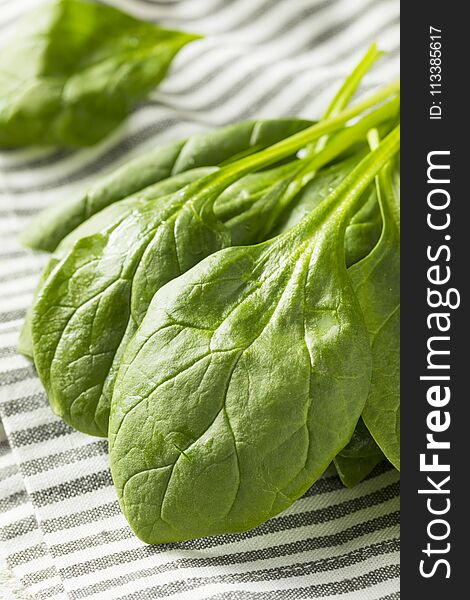 Raw Green Organic Spinach Leaves