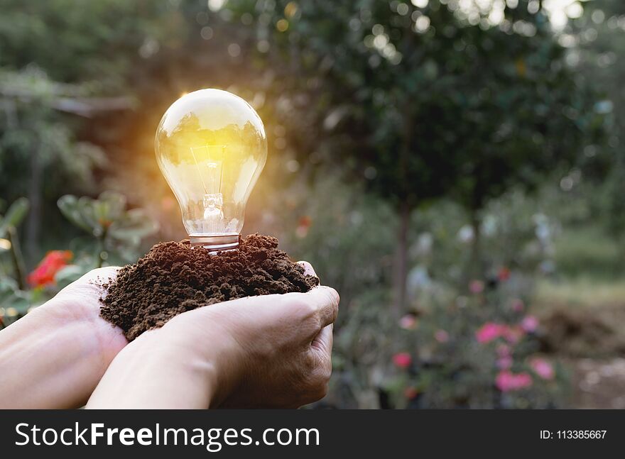 Hand of person holding light bulb for idea or success and solar energy concept.