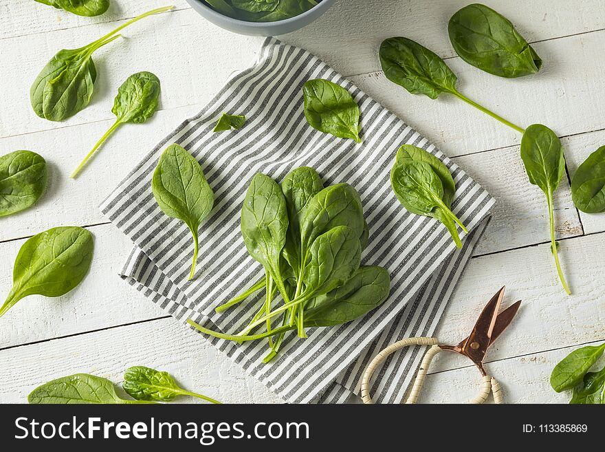 Raw Green Organic Spinach Leaves Ready to Cook