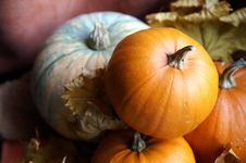 Autumn Still Life With Pumpkins Royalty Free Stock Photos Autumn Still Life With Pumpkins Royalty Free Stock Photos