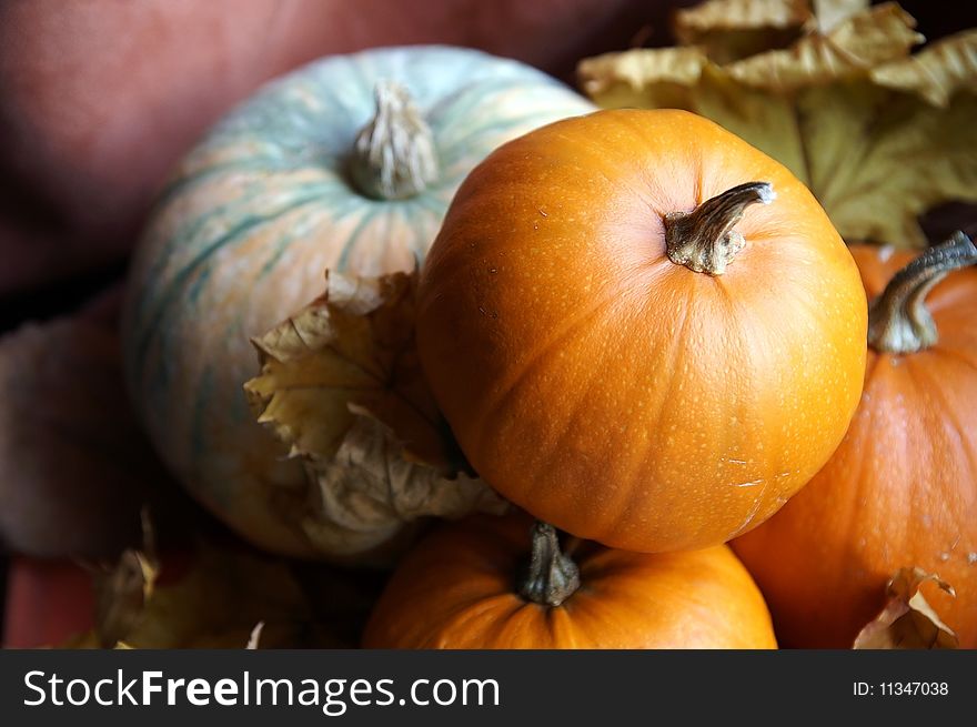 Autumn still life with pumpkins and dry leaves, blur background, shallow-depth