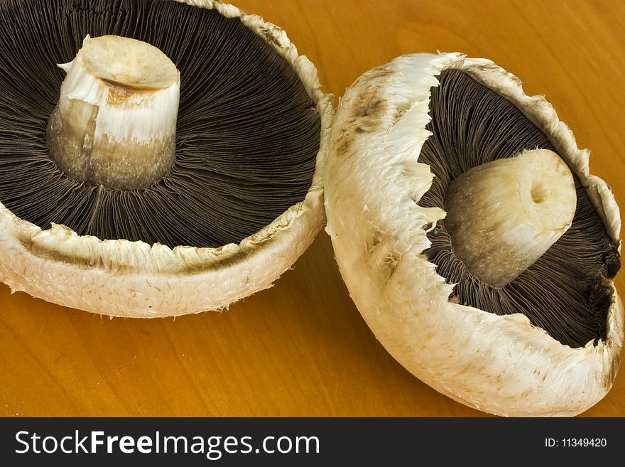 A close-up pic of two fresh mushrooms