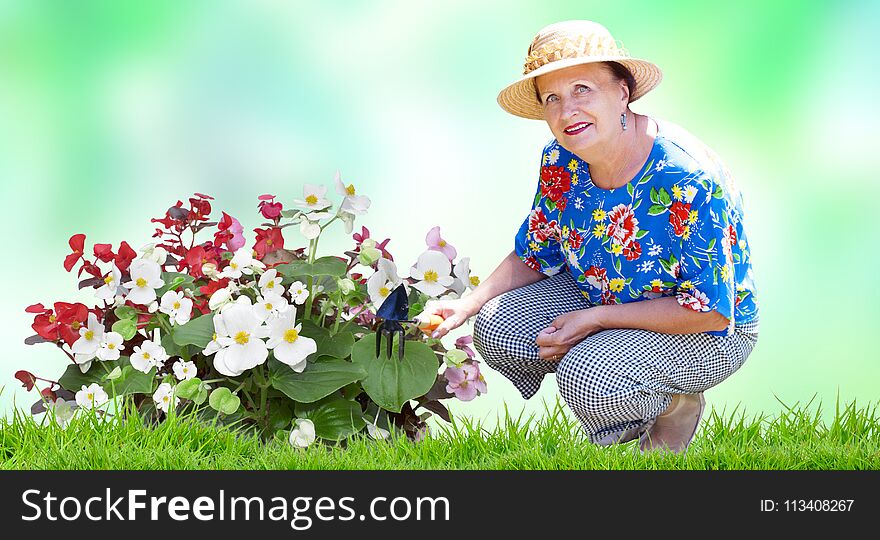 Cute senior woman gardening beautiful flowers. Cute senior woman gardening beautiful flowers