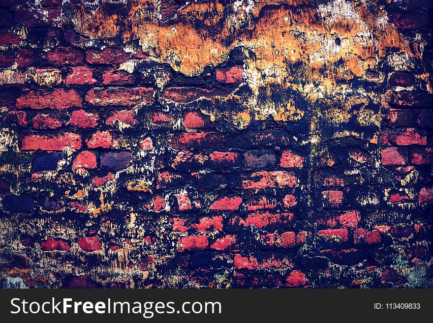 the old red brick wall is covered with mold. Dilapidated wall covered with mold and moss in an abandoned house. Brick wall painted in bright colors