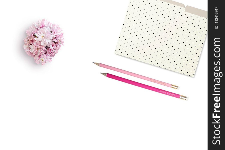 Pink Petaled Flower Beside Two Pink Pens