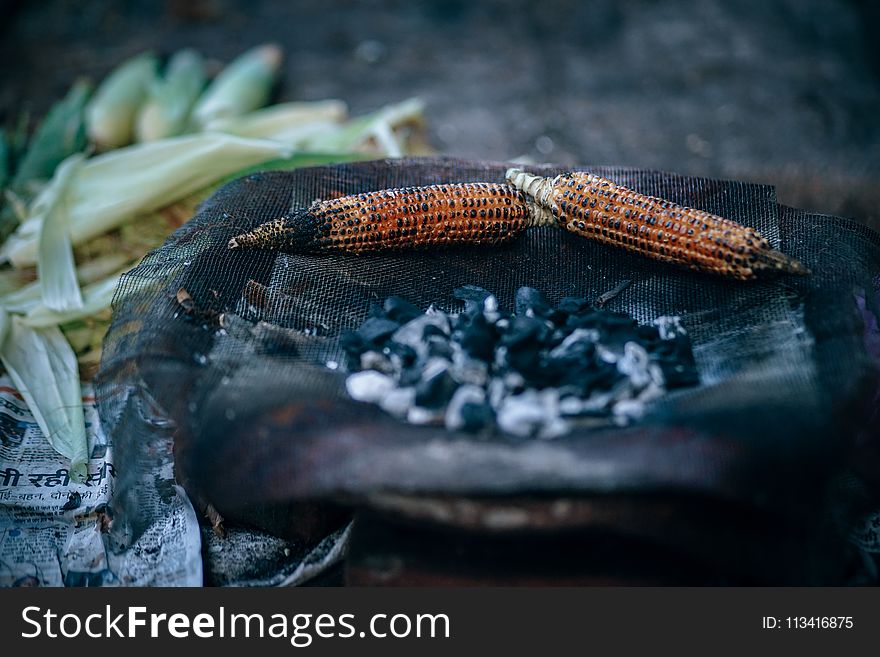 Roasted Corn on Charcoals