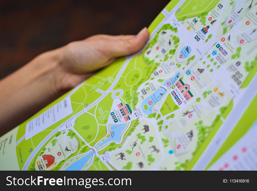 Person Holding City Map