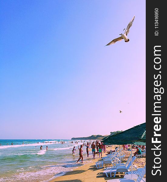 Photo of People at the Beach