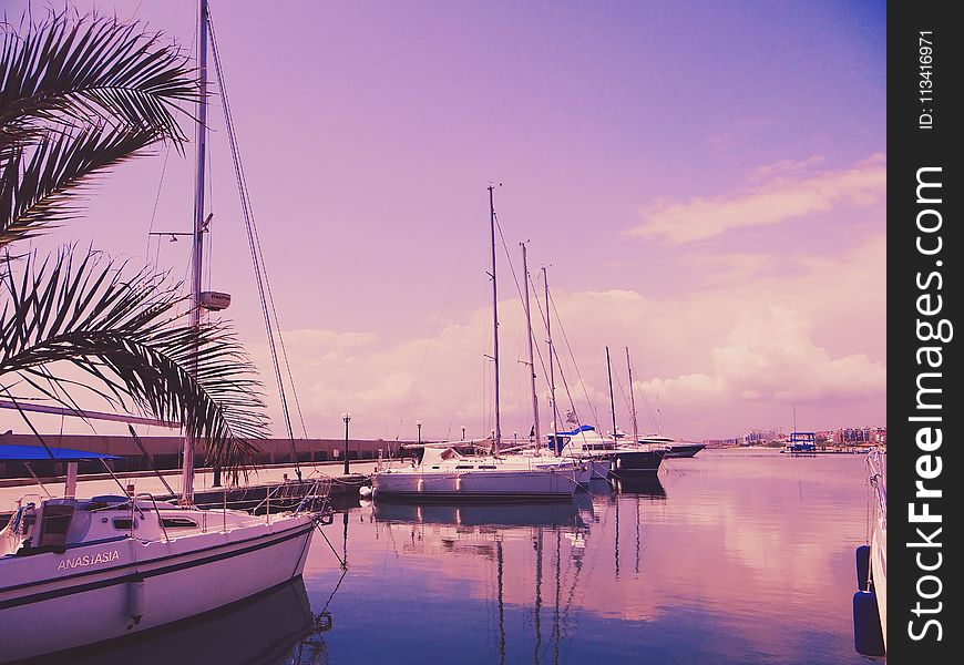 Photo of Sailboats on the Water