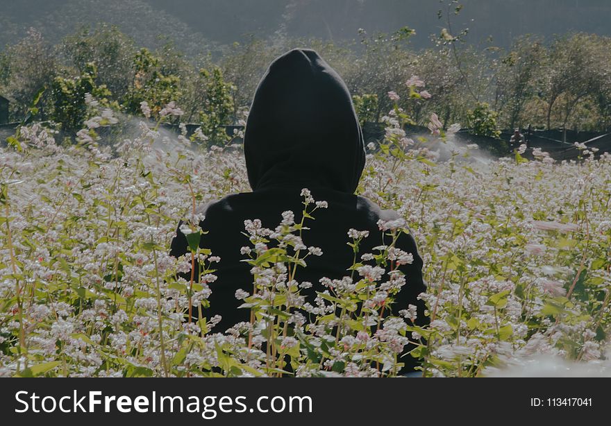 Photo of Person Wearing Black Hoodie Standing On Flower Field