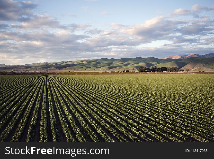 Photo Of Green Field Near Mountains