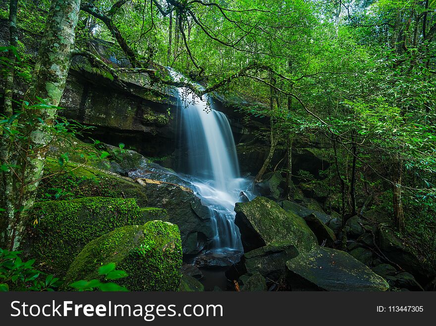 Waterfall with green moss in the tropical rainforest landscape