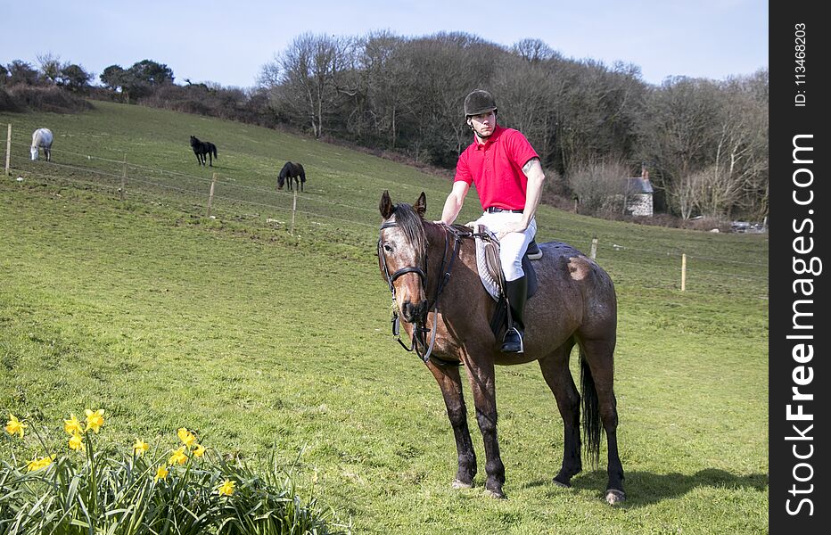 Handsome Male Horse Rider On Horseback With White Breeches, Black Boots And Red Polo Shirt In Green Field With Horses In Backgroun