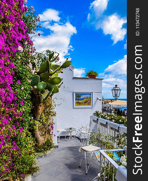 Veranda Surrounded By Green Cactus And Pink Bougainvillea