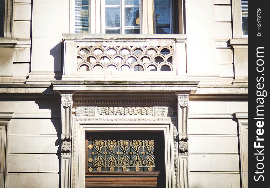 Anatomy Building