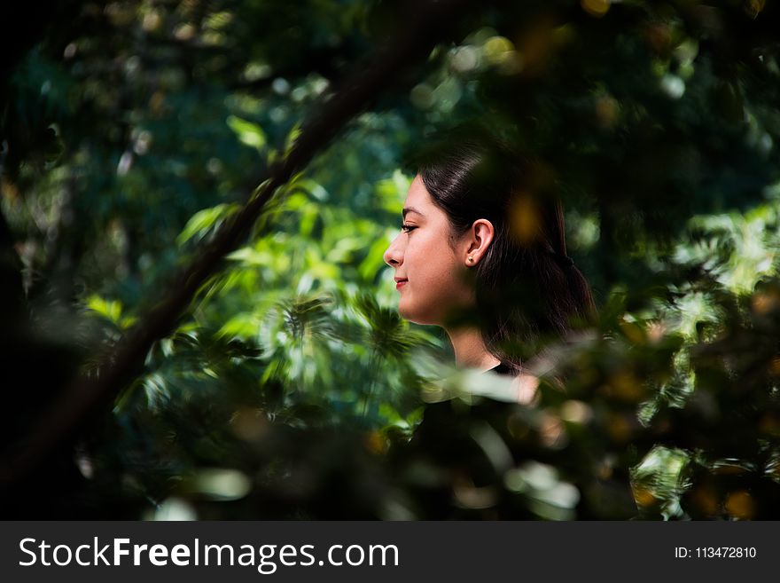 Shallow Focus Photography of Brown Haired Woman