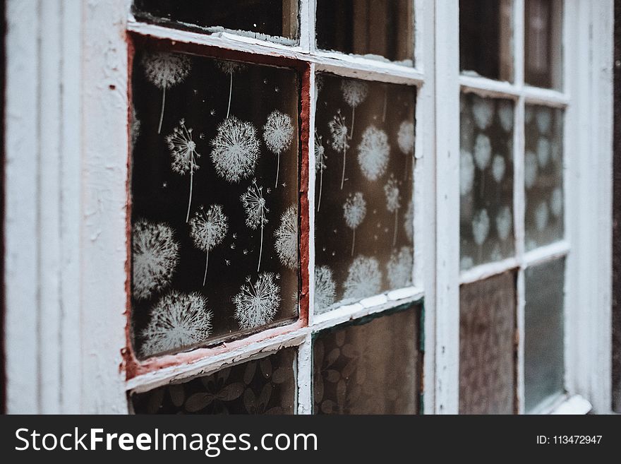 White Wooden 6-pane Window