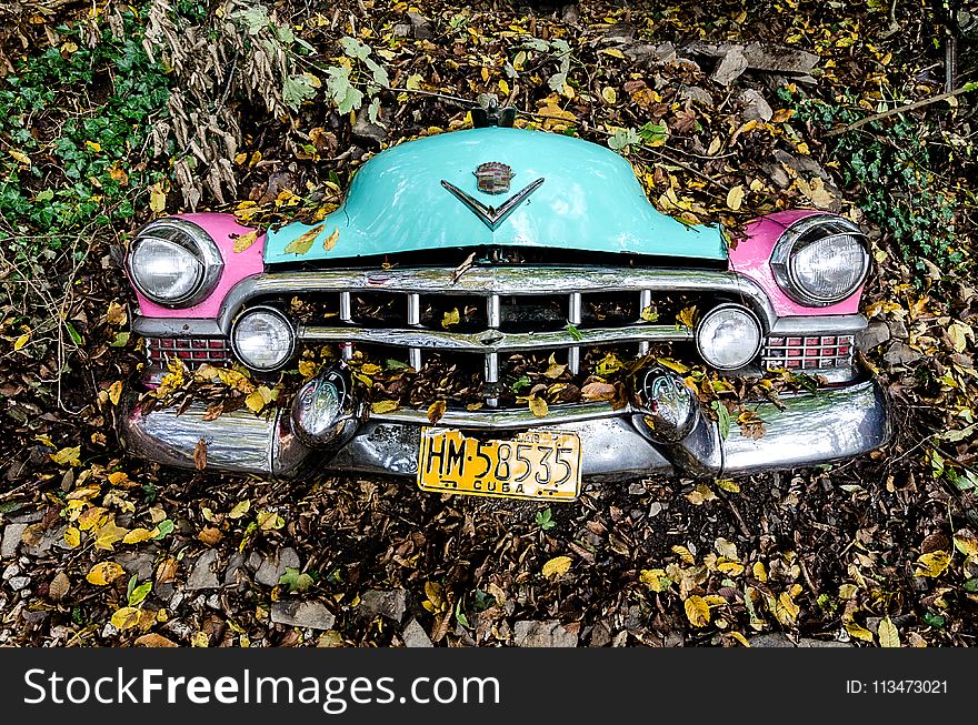 Photo of Car Covered with Leaves