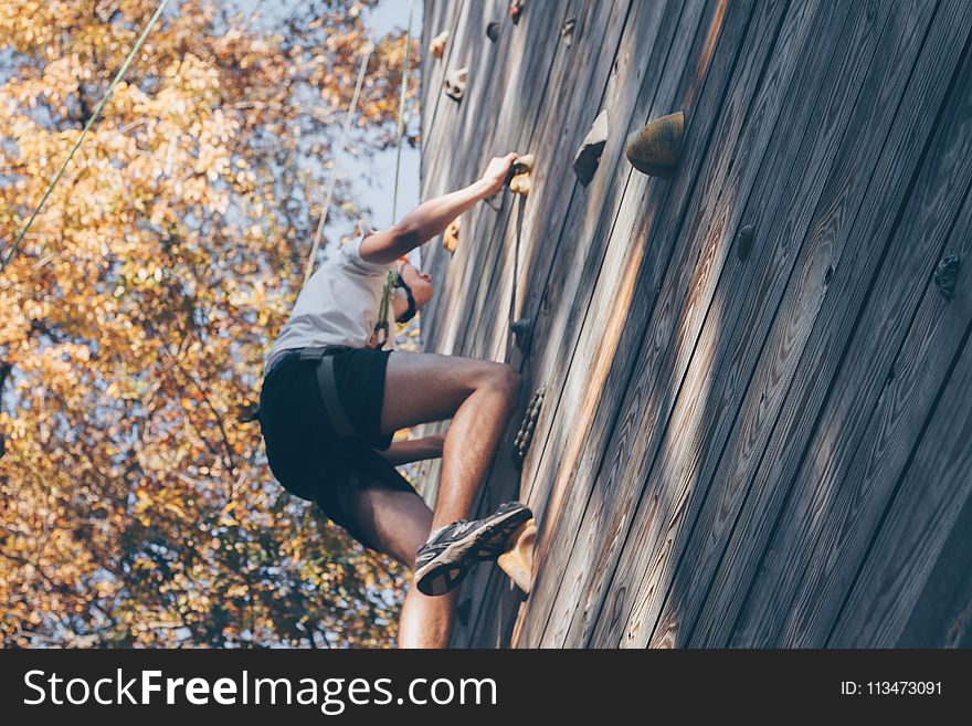 Man Wall Climbing Beside Trees