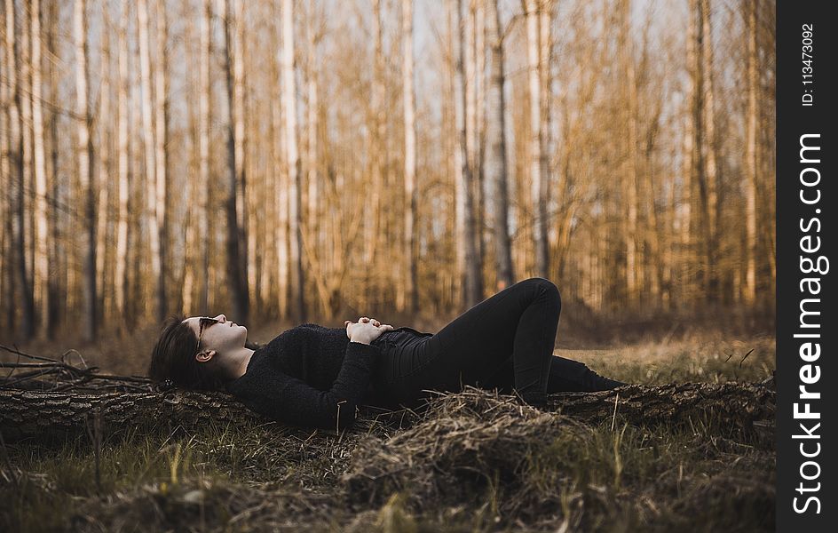 Woman Lying on the Ground Surrounded by Bare Trees